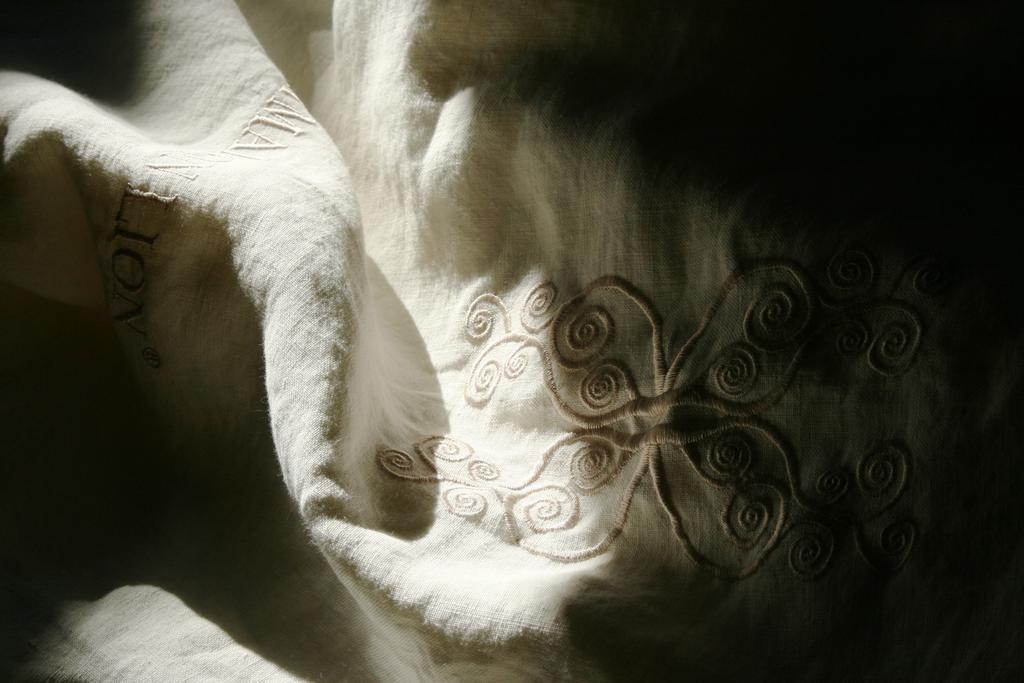 La Maison Lion Cesiomaggiore Kamer foto